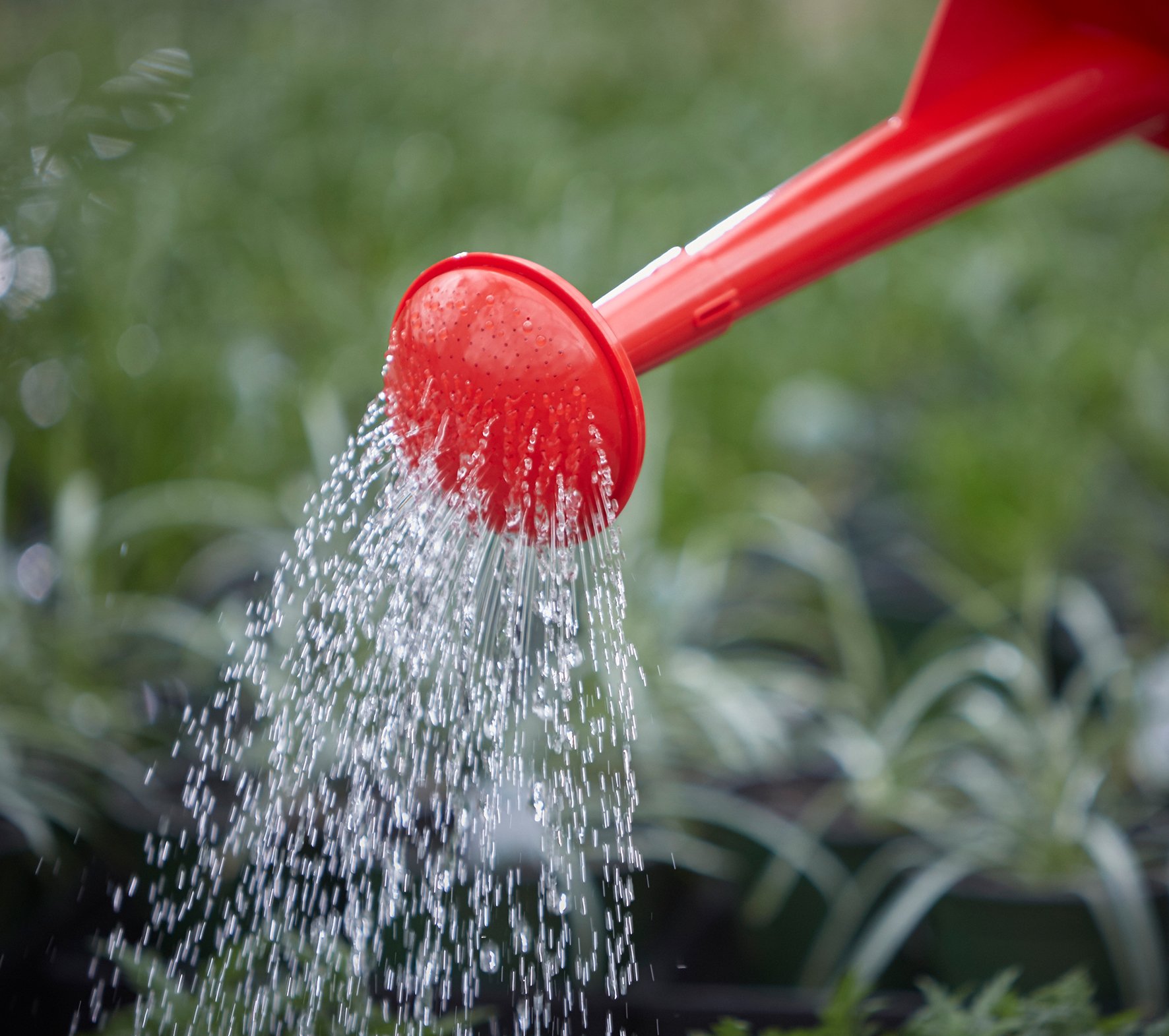 /assets/media/Giesskanne 10L rot_1.jpg