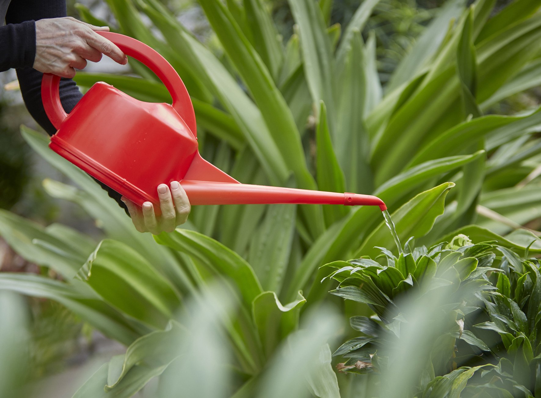 /assets/media/Giesskanne 2L rot_1.jpg