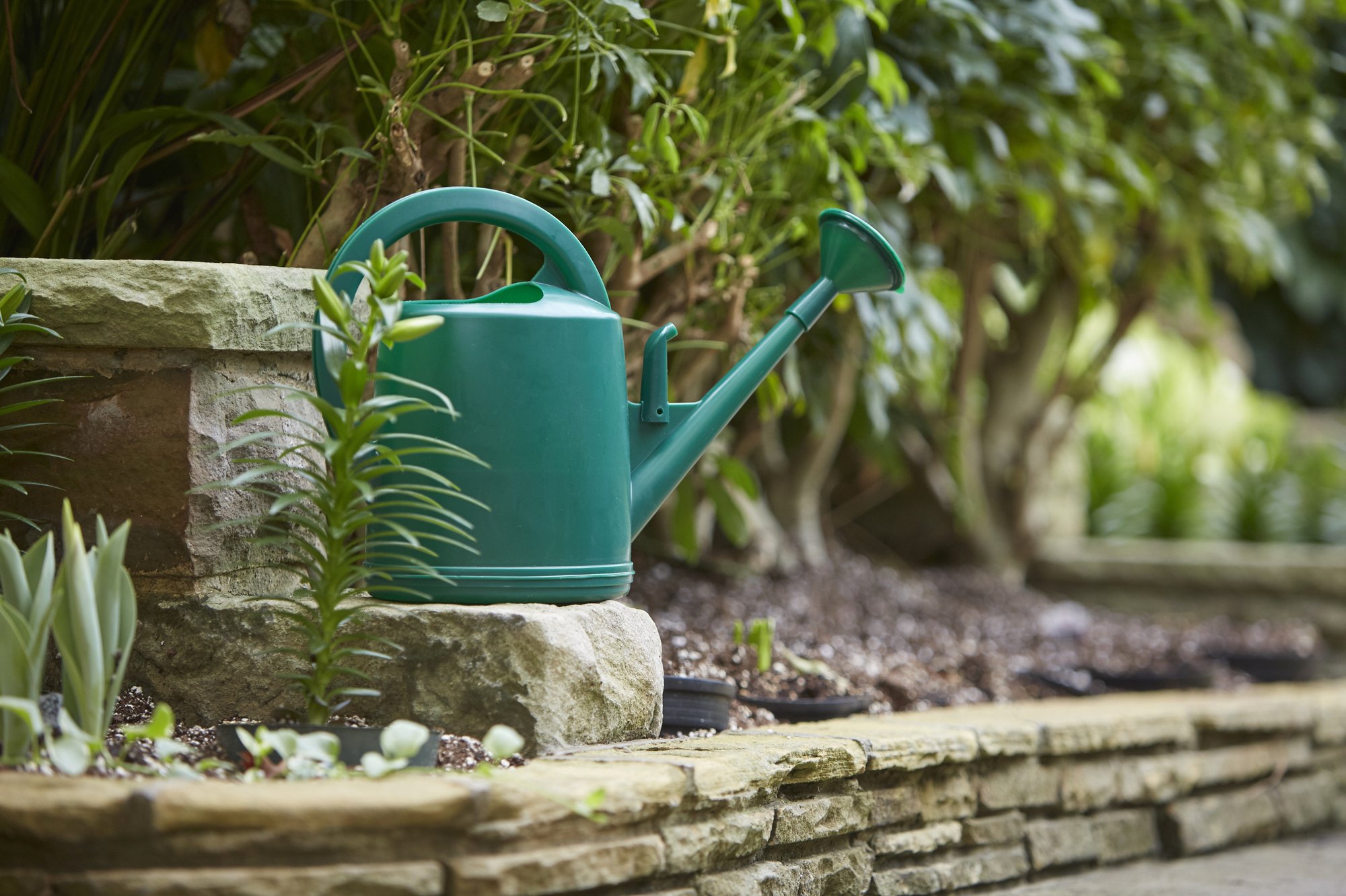 /assets/media/Giesskanne 4L grün_2.jpg